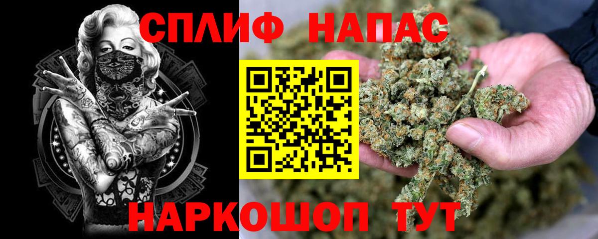 МАРИХУАНА сатива Россошь